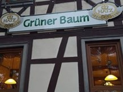 照片: Gruner Baum